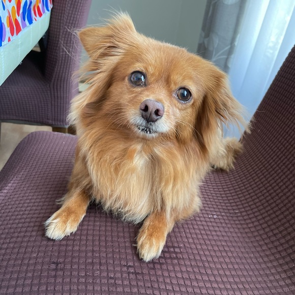 Meet your Posher, Michelle - Picture 6 of 6